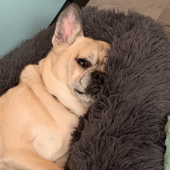 Meet your Posher, Krystle - Picture 3 of 4